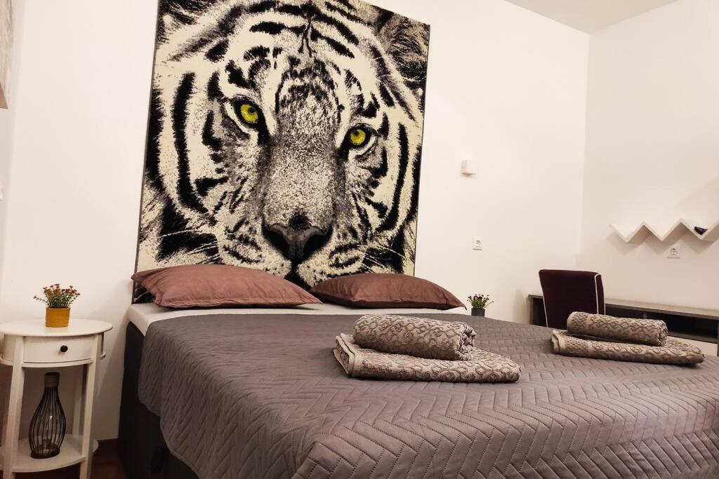 Spacious Apartment Near City Center And The Beach Split Extérieur photo